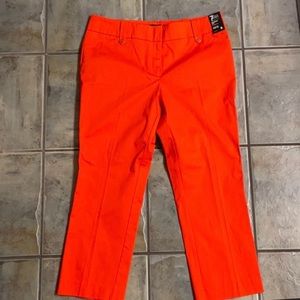 Orange Slacks - Cropped